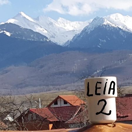 Pensiunea Leia Transfagarasan Cîrţişoara Exteriér fotografie