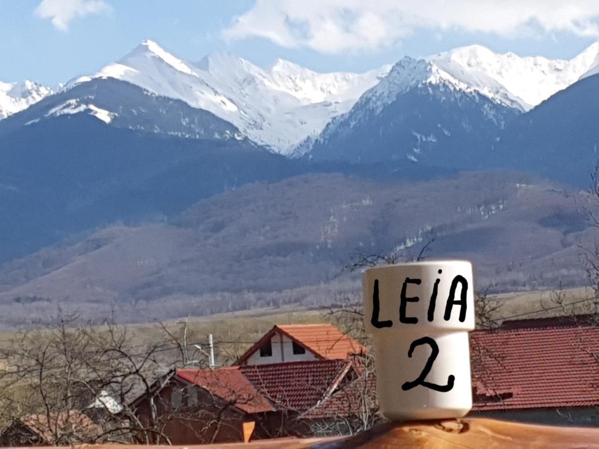 Pensiunea Leia Transfagarasan Cîrţişoara Exteriér fotografie