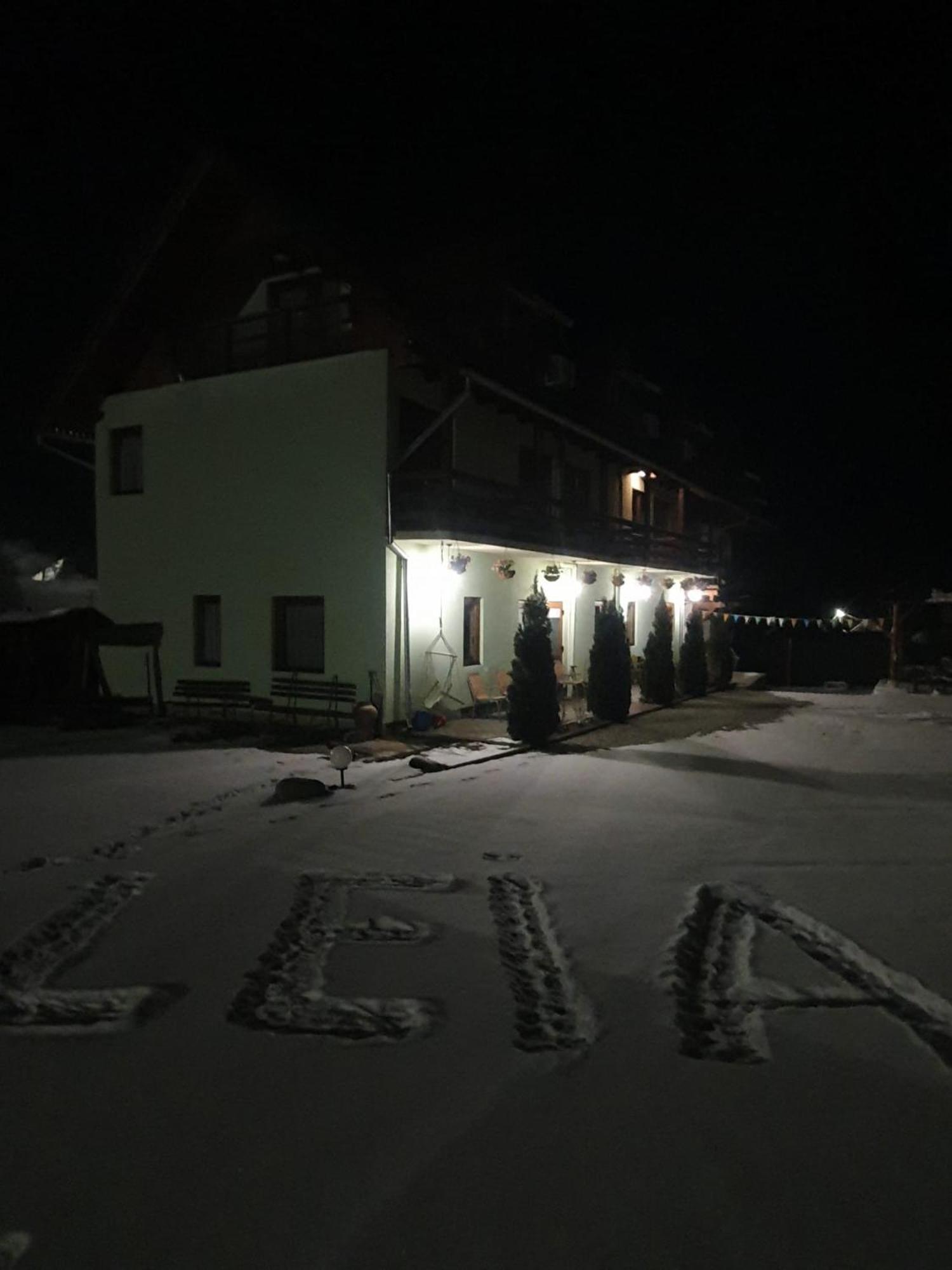 Pensiunea Leia Transfagarasan Cîrţişoara Exteriér fotografie
